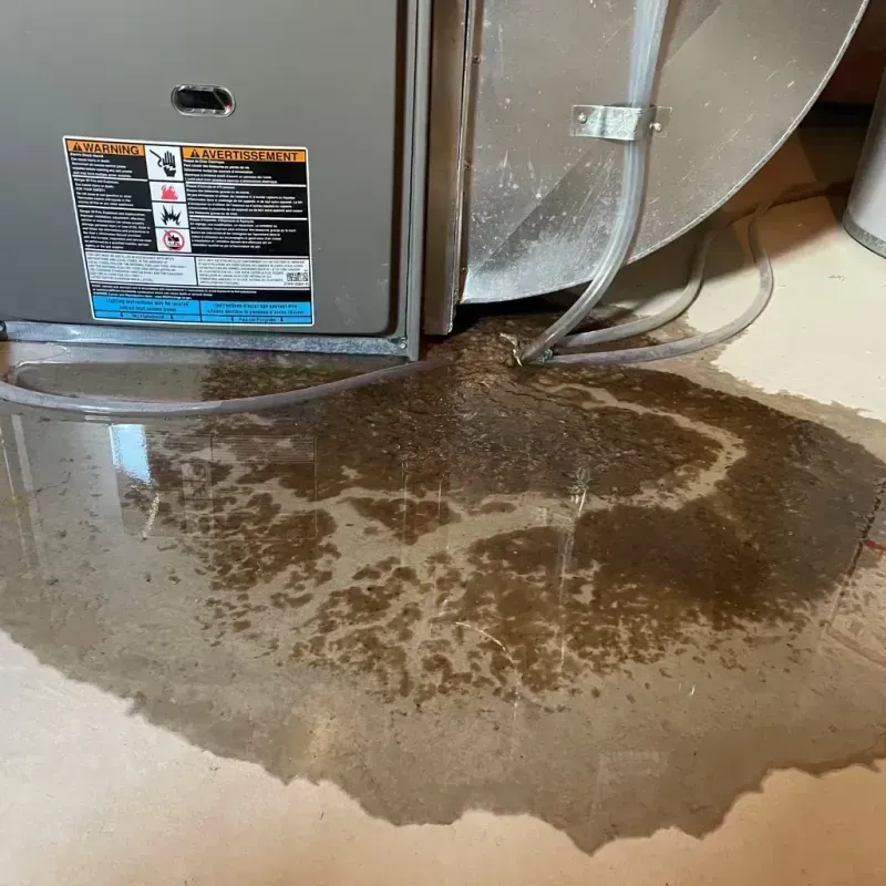 Appliance Leak Cleanup in Churchville, NY